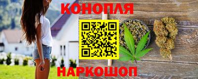гашик Пыть-Ях