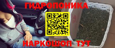 гашик Пыть-Ях