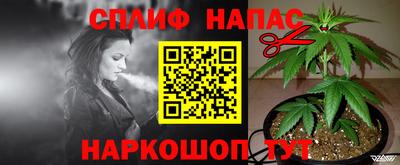 молекула духа Пугачёв