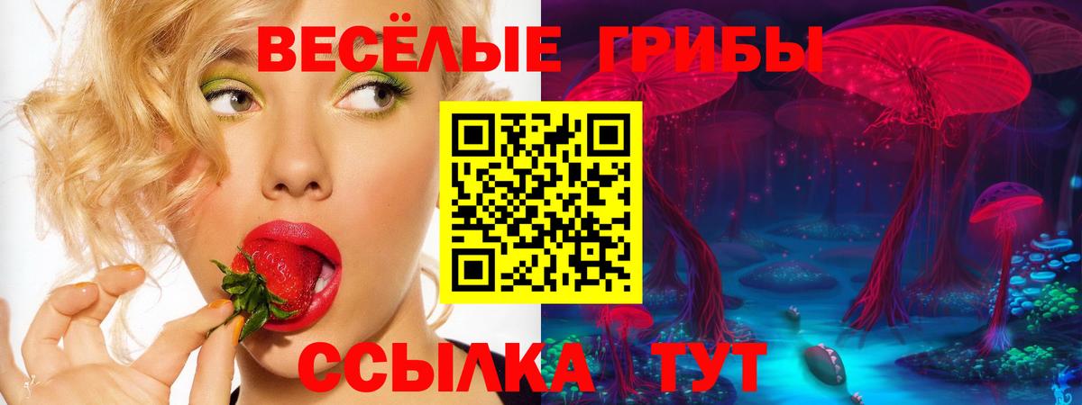 Галлюциногенные грибы прущие грибы  Вход с VPN  Псилоцибиновые грибы Psilocybe  Находка 